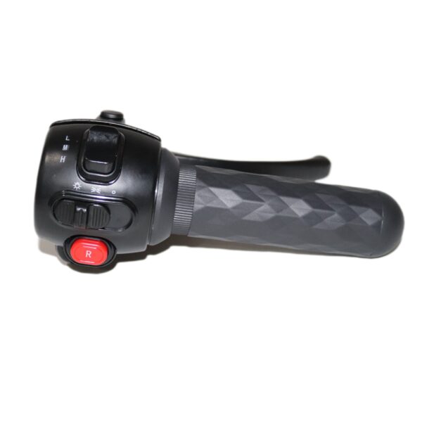 Throttle Set for Electric Bike